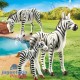 70356 Zebra Con Potrillo
