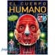 3114 Cuerpo Humano - 3D