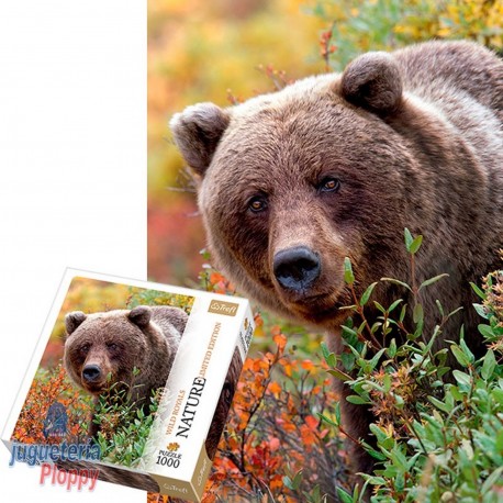 13111 Puzzle 1000 Piezas Grizzly - Alaska - Usa