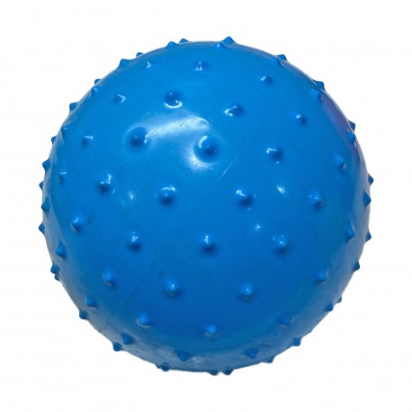 Pelota Plastica Pinches Mediana Mp 5095