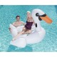 41109 Cisne Inflable Linea Fashion