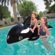 41009B Ballena Orca Inflable 203X102 Cm Flota