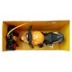 Moto A Radio Control 1479980