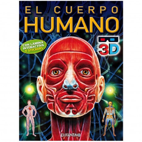 3114 Cuerpo Humano - 3D