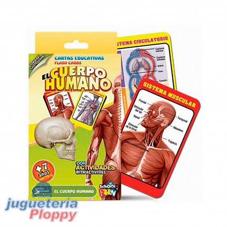 Cl-116/18 Cartas Educativas El Cuerpo Humano