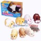 Zzhm1 Zhu Zhu Hamster (Tv)