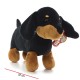 1667 Perro 32 Cm 4 Modelos