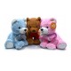 10201430 Oso 30 Cm Sentado 3 Colores Con Tarjeta