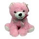 10201430 Oso 30 Cm Sentado 3 Colores Con Tarjeta