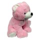 10201430 Oso 30 Cm Sentado 3 Colores Con Tarjeta