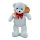 11200450 Oso 50 Cm Parado 6 Colores Con Tarjeta