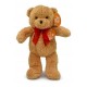11200450 Oso 50 Cm Parado 6 Colores Con Tarjeta
