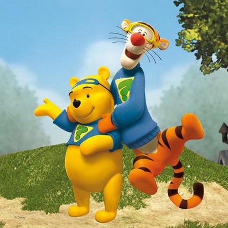 Wd1944 Cuadro Pooh 25X25 Cm 3 Modelos