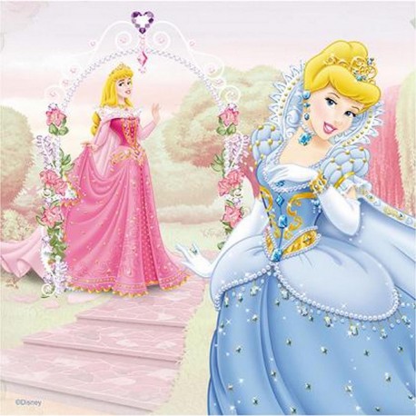 Wd4988 Cuadro Princesas 35X35 Cm 4 Modelos