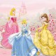 Wd4988 Cuadro Princesas 35X35 Cm 4 Modelos