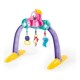909 Baby Gym Pet