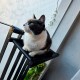 C30-1 Cama Colgante Balconera Gatos Negro 55 X 30 X 12 Cm Ploppy-Pets