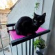 C30-4 Cama Colgante Balconera Gatos Fucsia 55 X30 X12 Cm Ploppy-Pets