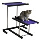 G65-3 Gimnasio Gato 2 Alturas 35-65 Cm Base 65X65 Cm Violeta Ploppy-Pets