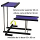 G65-3 Gimnasio Gato 2 Alturas 35-65 Cm Base 65X65 Cm Violeta Ploppy-Pets