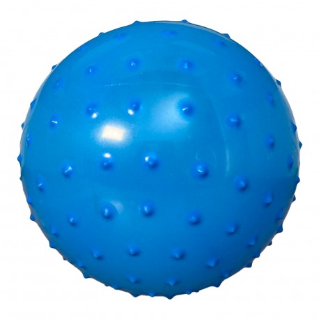 Pelota Plastica Pinches Chica Mp 5094