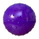 Pelota Plastica Pinches Chica Mp 5094