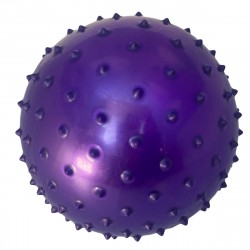 Pelota Plastica Pinches Grande Mp 5096