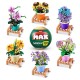 83183Gq8 Max Capsula Garden - Set De Flores