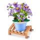 83183Gq8 Max Capsula Garden - Set De Flores